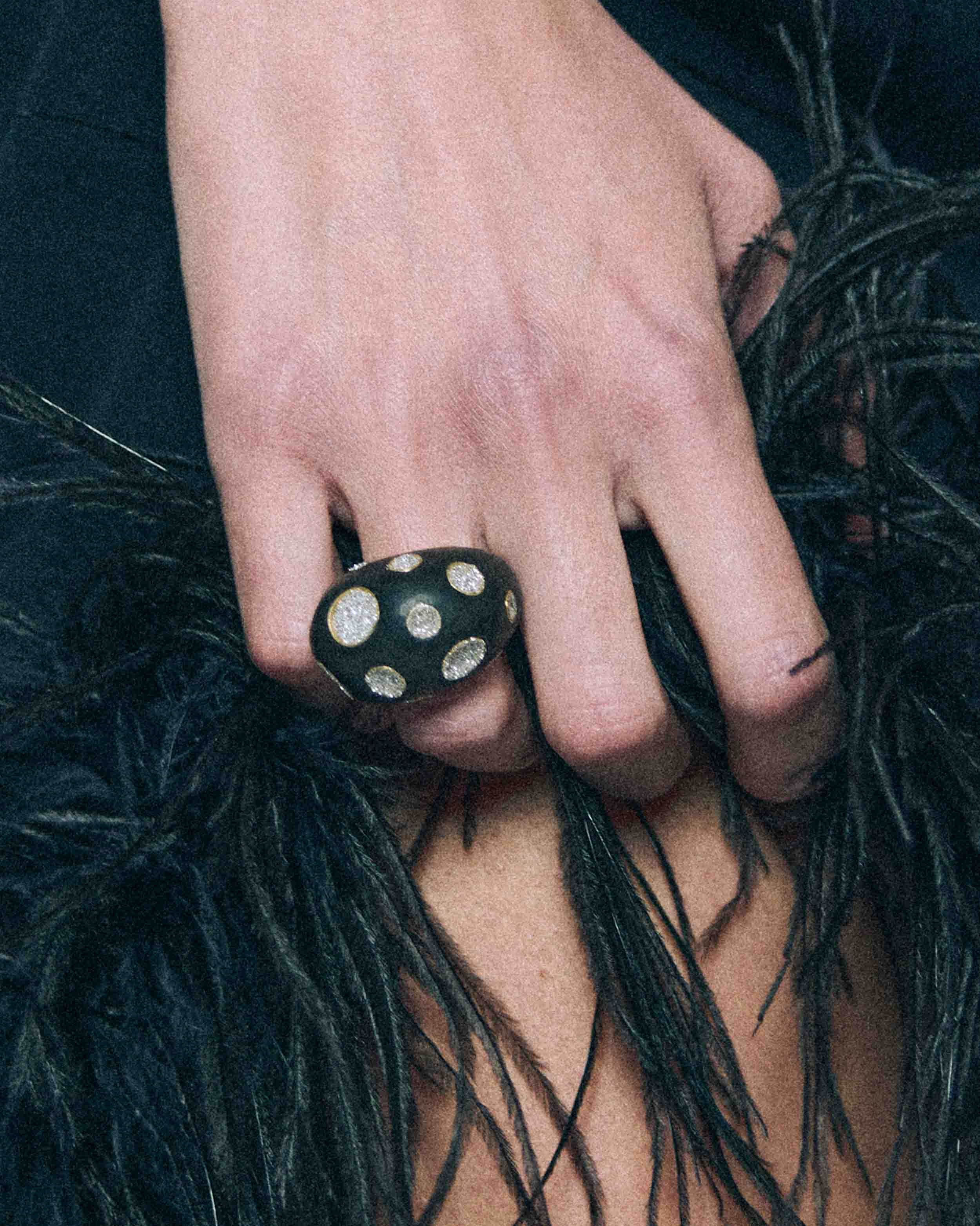 Ring / Ebony Wood / Circular Diamond Dust