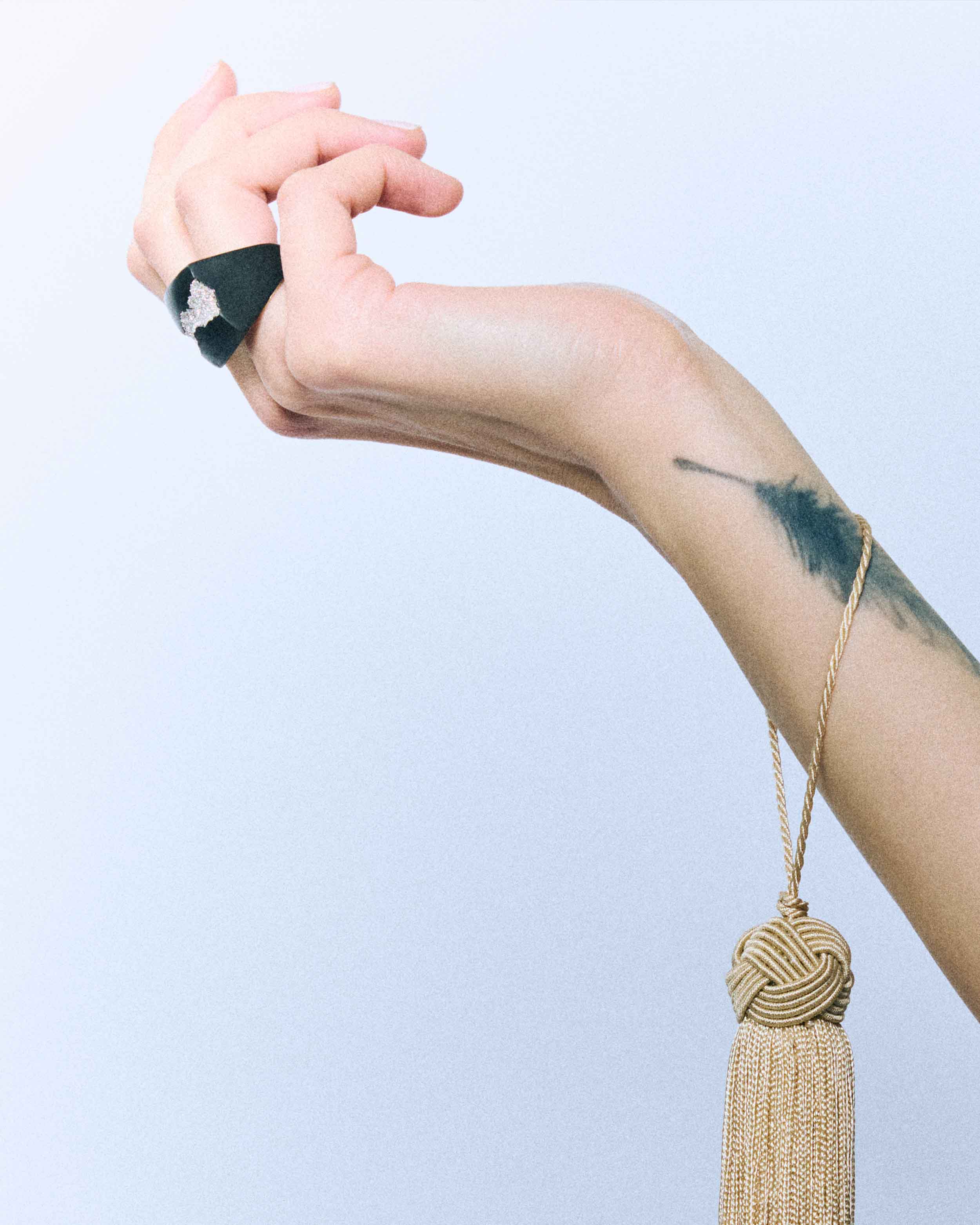 Anello / Legno di Ebano / Micro Diamanti