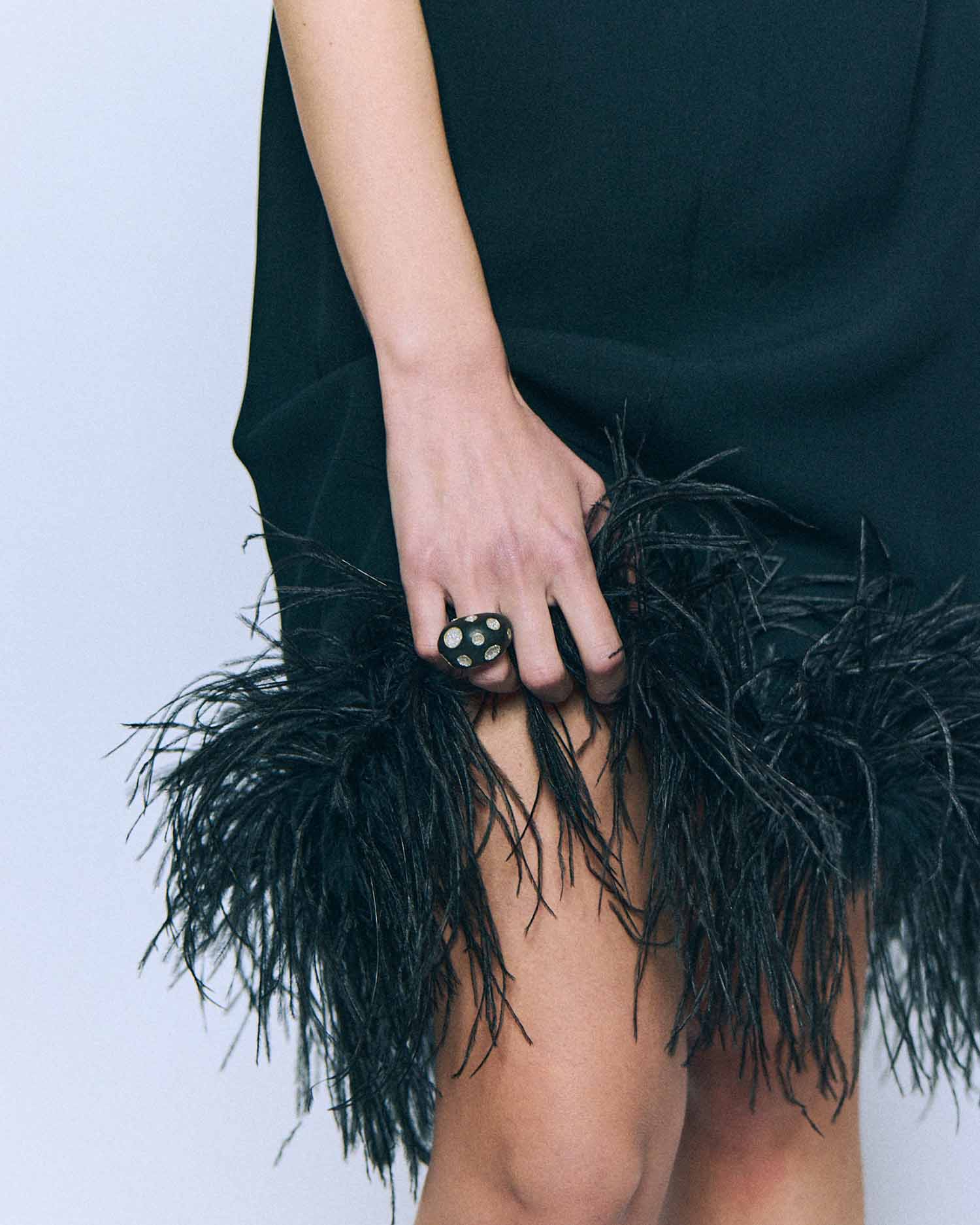 Ring / Ebony Wood / Circular Diamond Dust